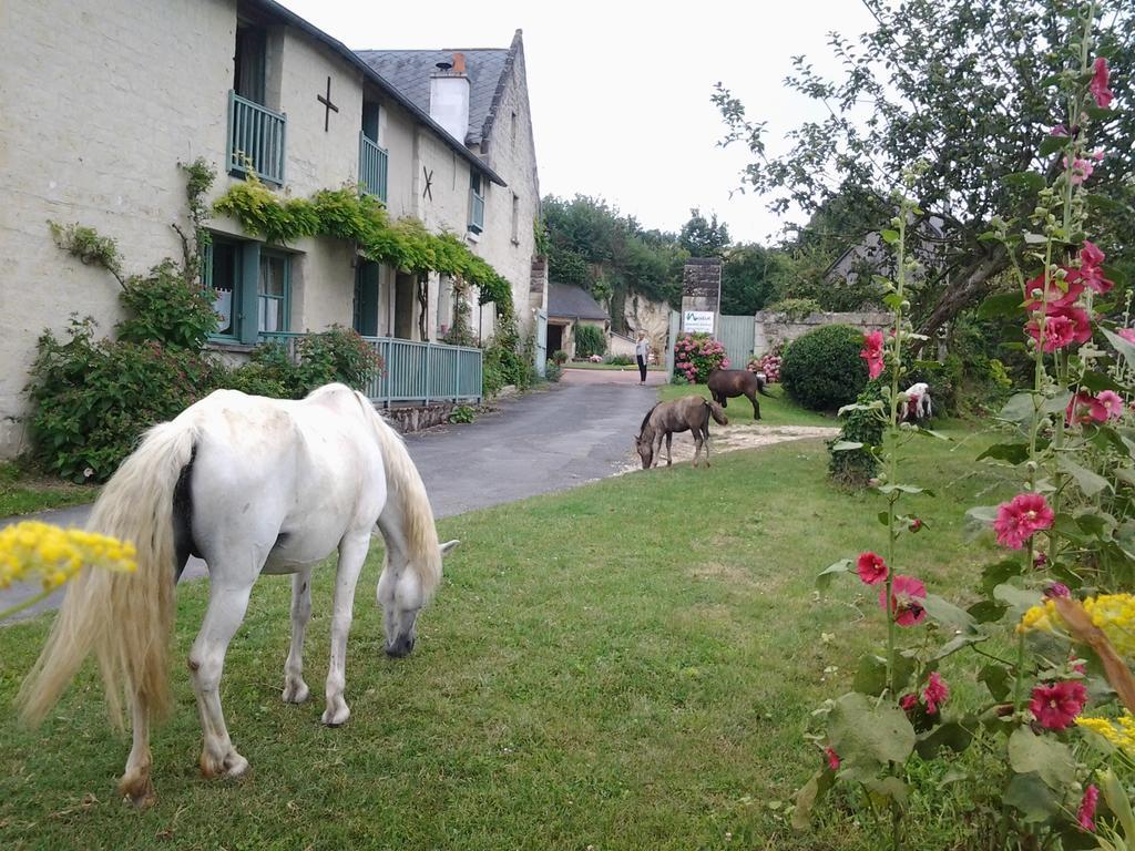 Chambres D'Hotes Du Noisillet Cinais ภายนอก รูปภาพ